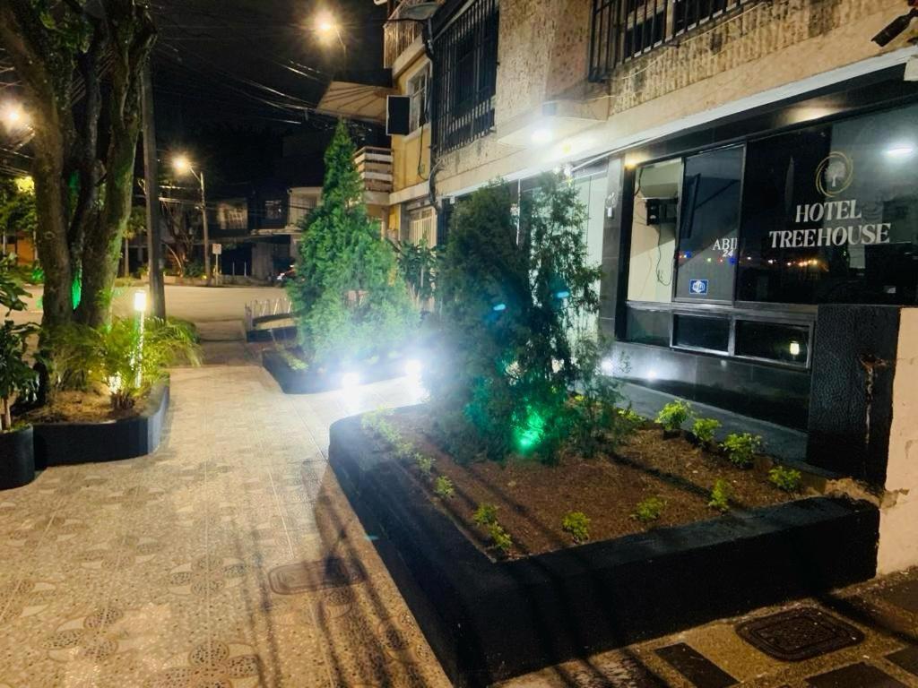 Hotel Tree House Medellin Ngoại thất bức ảnh