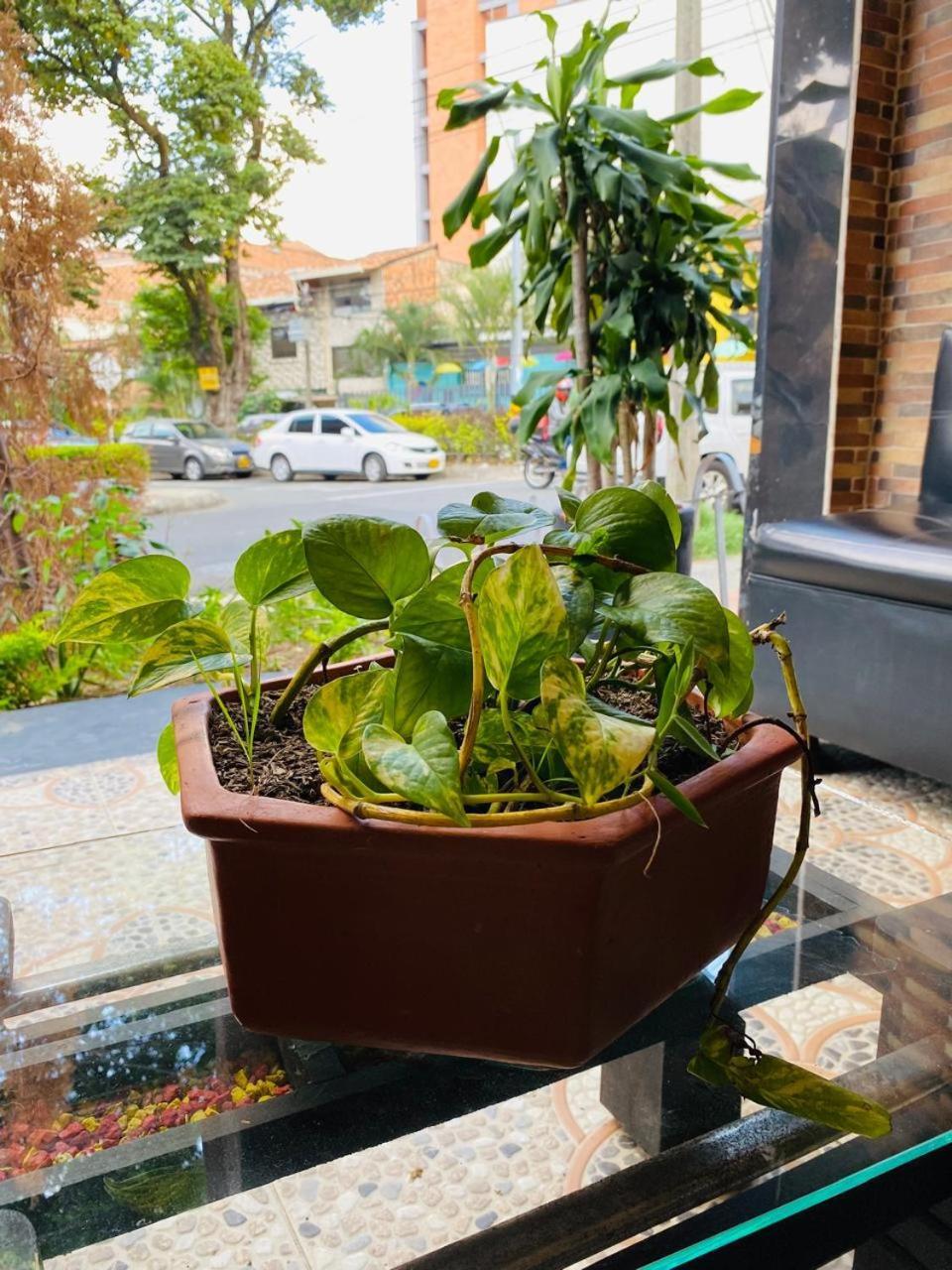 Hotel Tree House Medellin Ngoại thất bức ảnh