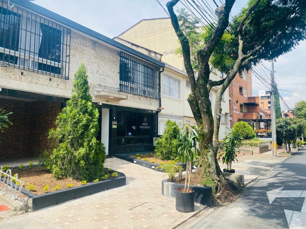 Hotel Tree House Medellin Ngoại thất bức ảnh